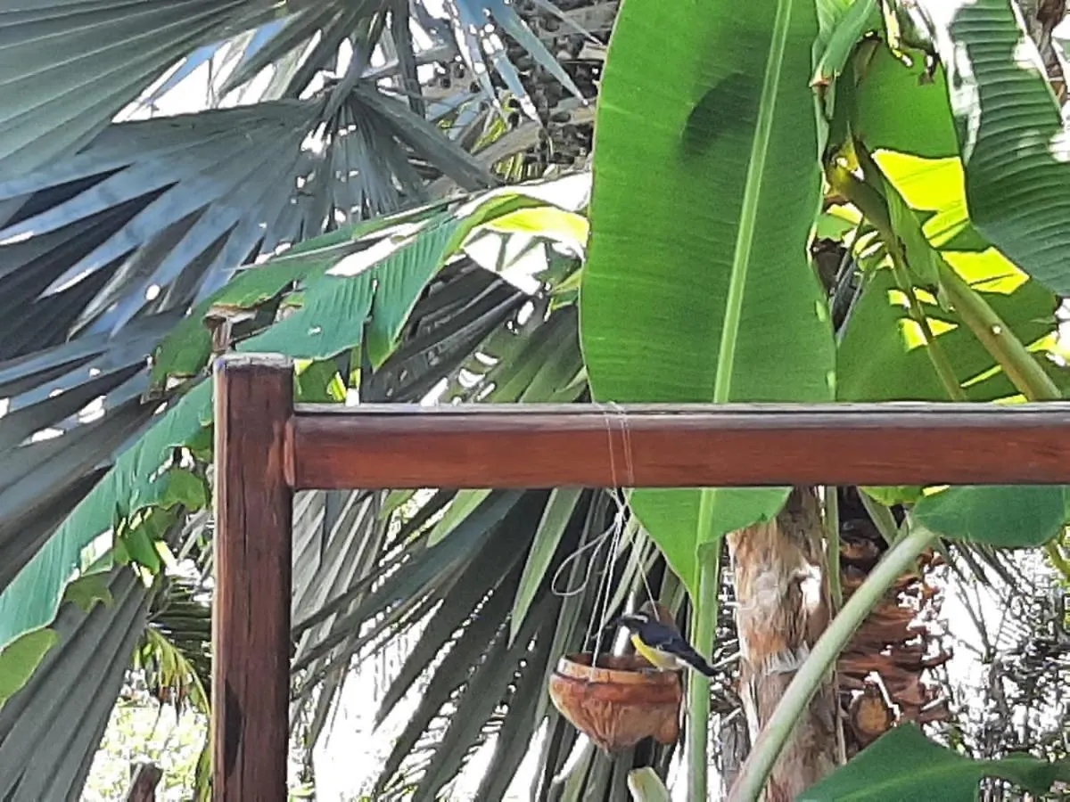 Holiday home Maison Papagayo Villa Oyster Pond
